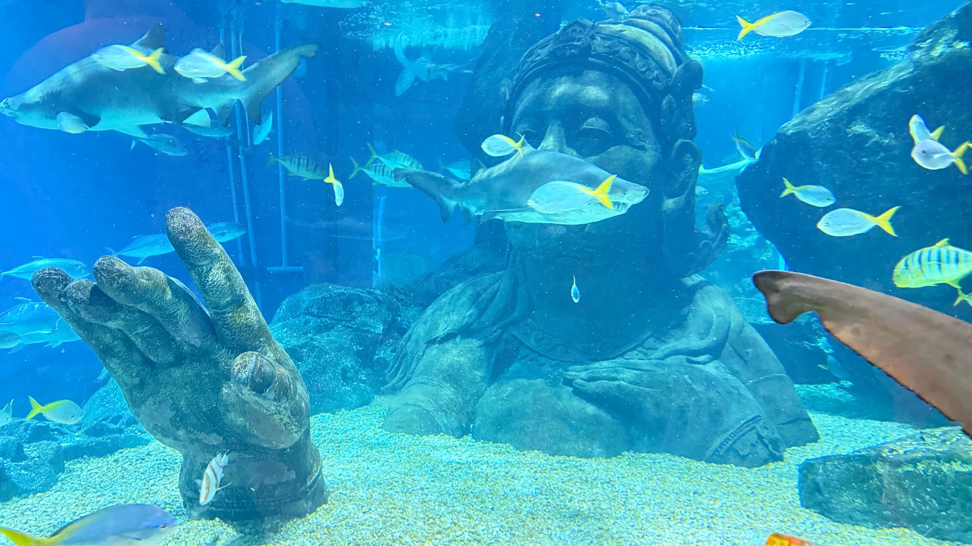 Sea Life and Madame Tussauds Tickets